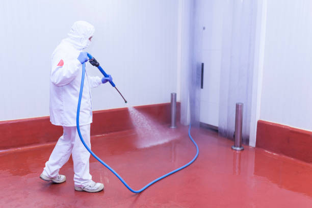 Best Pre-Holiday Cleaning  in Sloatsburg, NY